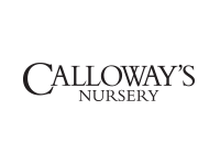 calloways-nursery-logo 22x150